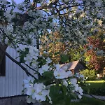 木屋 Laeeahon Omena House In The Middle Of Nature Pornainen