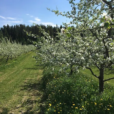 شاليه Laeeahon Omena House In The Middle Of Nature Pornainen