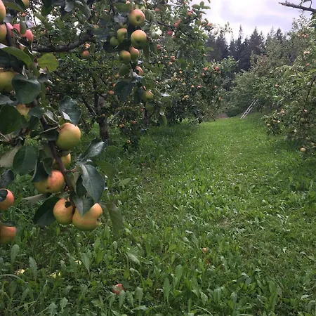 Laeeahon Omena House In The Middle Of Nature Pornainen