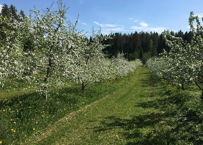 شاليه Laeeahon Omena House In The Middle Of Nature *