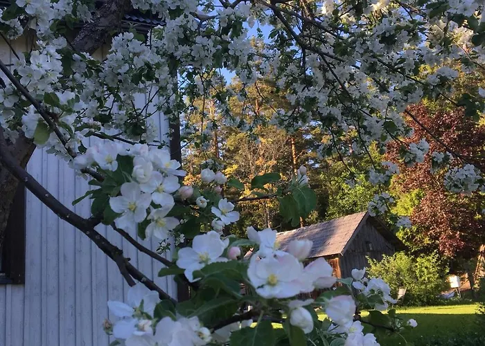 شاليه Laeeahon Omena House In The Middle Of Nature Pornainen