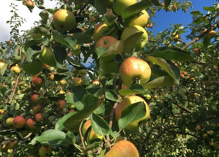 شاليه Laeeahon Omena House In The Middle Of Nature