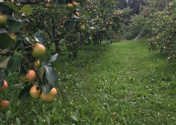 Laeeahon Omena House In The Middle Of Nature Pornainen